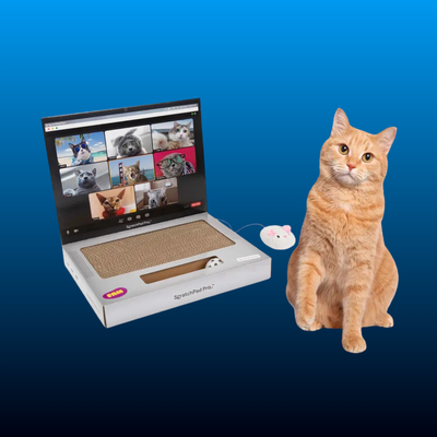 Cardboard Laptop Cat Scratcher