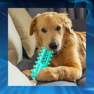 Dog Toothbrush Chew Toy