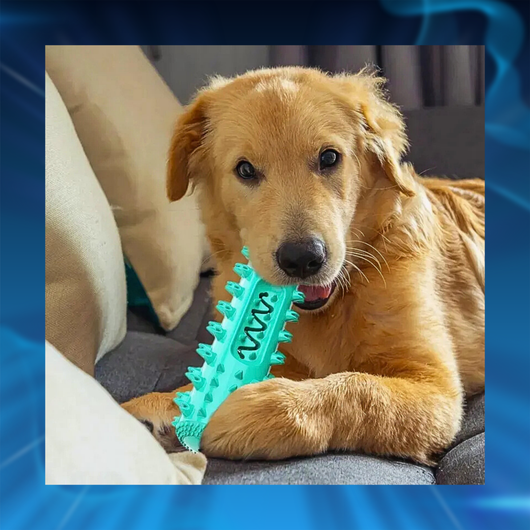 Dog Toothbrush Chew Toy