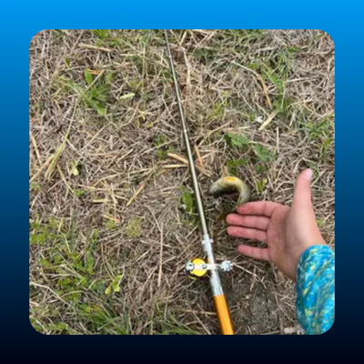 Portable Mini Telescopic Fishing Rod