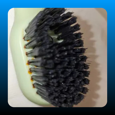 Shoe Brush with Liquid Holder