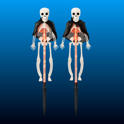 Solar Light Up Skeleton Garden Stakes (2 Pack)