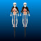 Solar Light Up Skeleton Garden Stakes (2 Pack)
