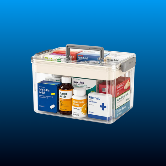 Translucent Double-Layer Storage Organizer