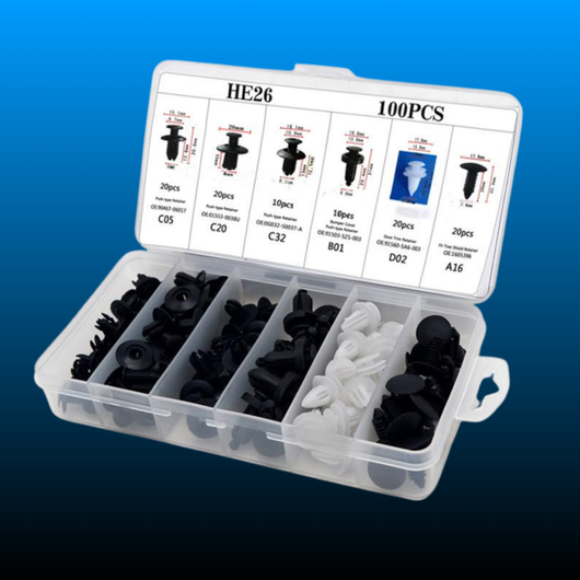 100pcs Universal Expansion Screw Clips Set