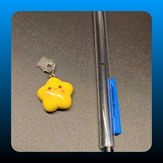 Phone Dust Plug