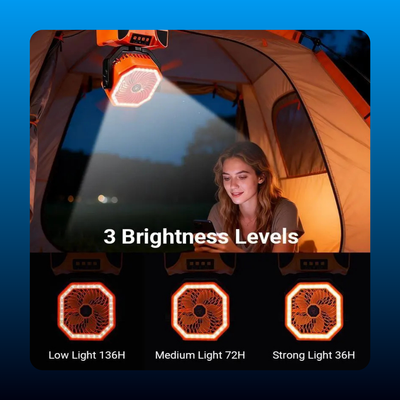 Portable Camping Fan with LED Light
