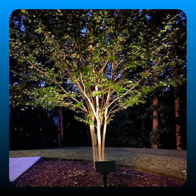 2-Pack Solar Spotlights with 64 LEDs
