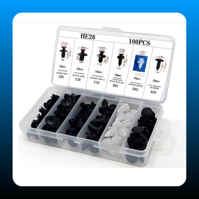 100pcs Universal Expansion Screw Clips Set