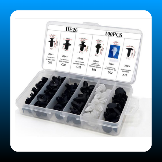 100pcs Universal Expansion Screw Clips Set