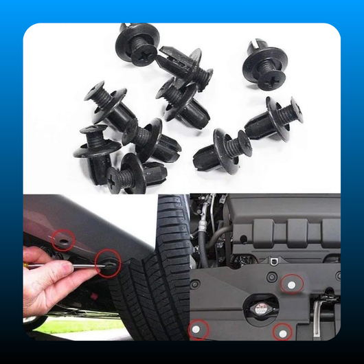 100pcs Universal Expansion Screw Clips Set