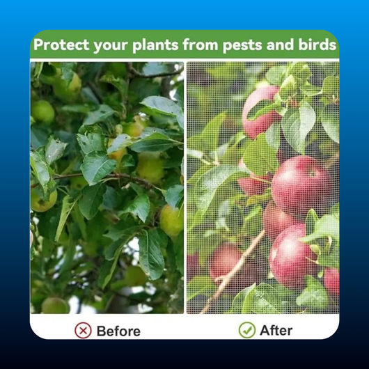 Large Fruit Tree Netting Plant Cover