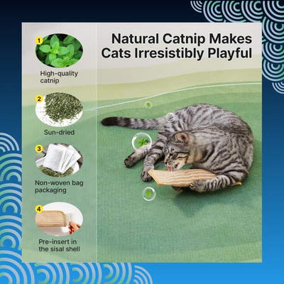 Catnip-Filled Pillow Cat Chew Toy