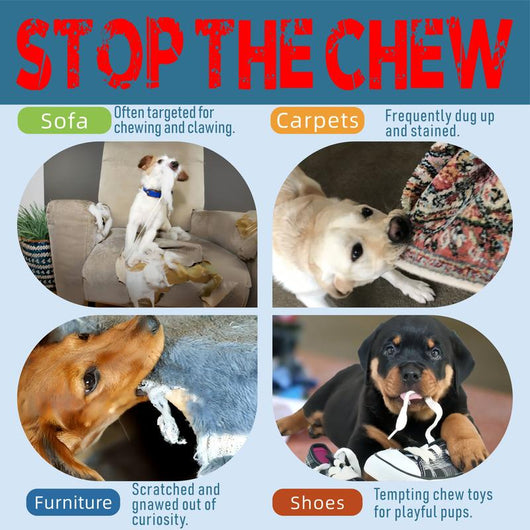 Stop The Chew Anti-Chewing Spray