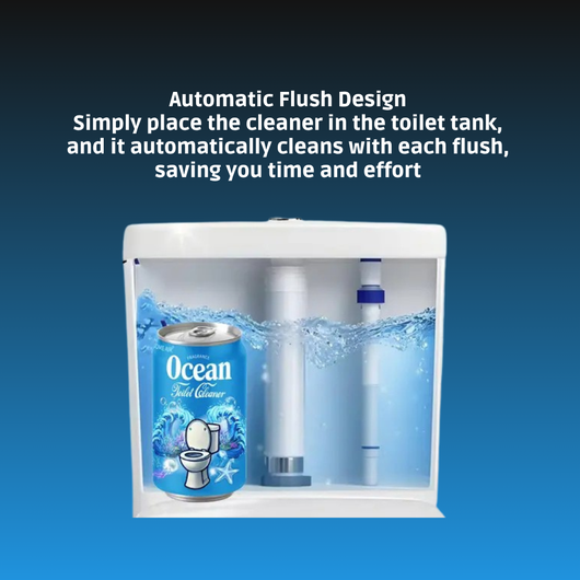 Soda Can Toilet Bowl Cleaner