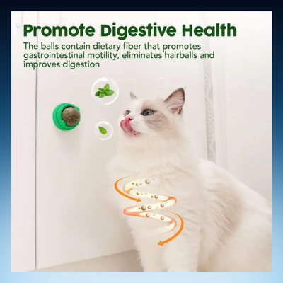 Catnip Licking Toy Balls for Cats (3 Pack)