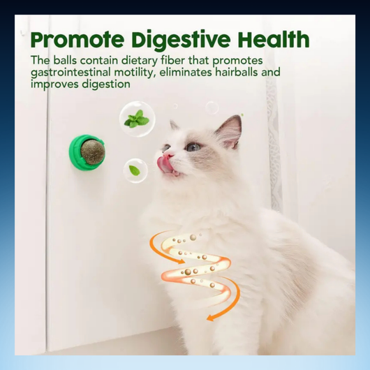 Catnip Licking Toy Balls for Cats (3 Pack)