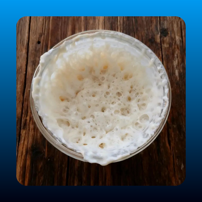 Sourdough Starter Dehydrated