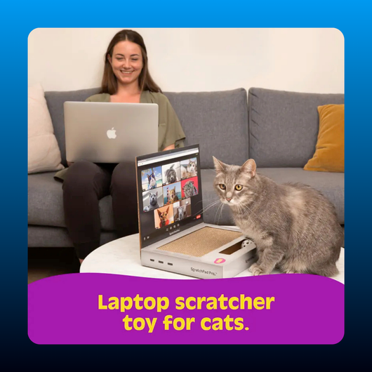 Cardboard Laptop Cat Scratcher