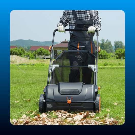Push Lawn Sweeper with 21 Inch Width