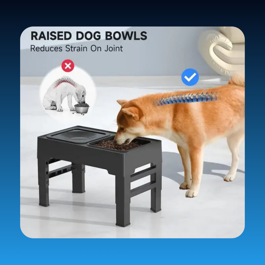 Elevated Pet Bowl Feeder