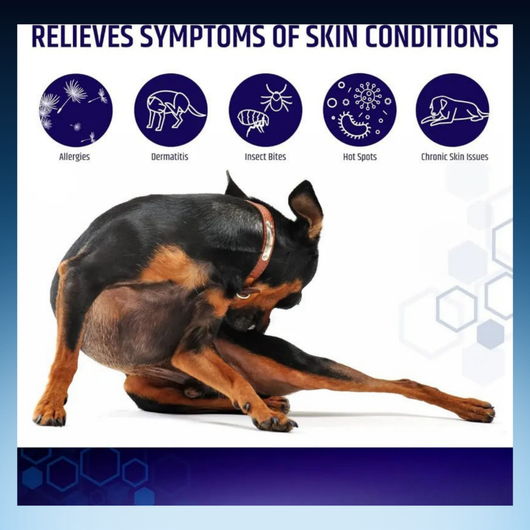 Hydrocortisone Spray – Itch Relief, Hot Spot Treatment, and Skin Irritation Solution