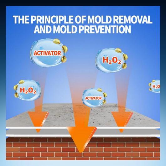 Multi-Surface Mold Remover Spray
