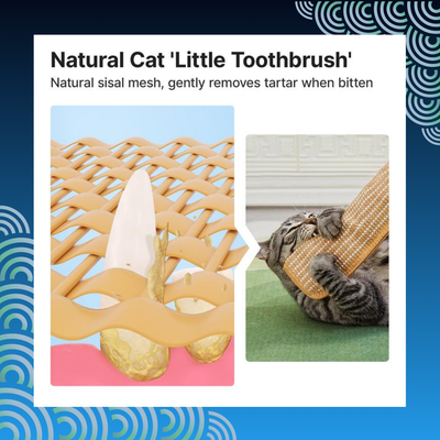 Catnip-Filled Pillow Cat Chew Toy