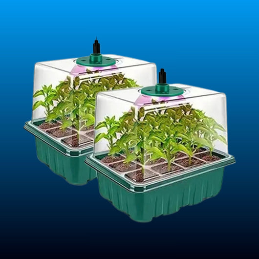 Seed Starting Tray with Grow Light (2 Pack)