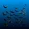 3D Bat Halloween Wall Decorations (36 Piece)