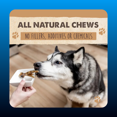 All-Natural Chicken Feet Dog Chews