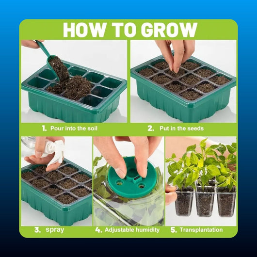 Seed Starting Tray with Grow Light (2 Pack)