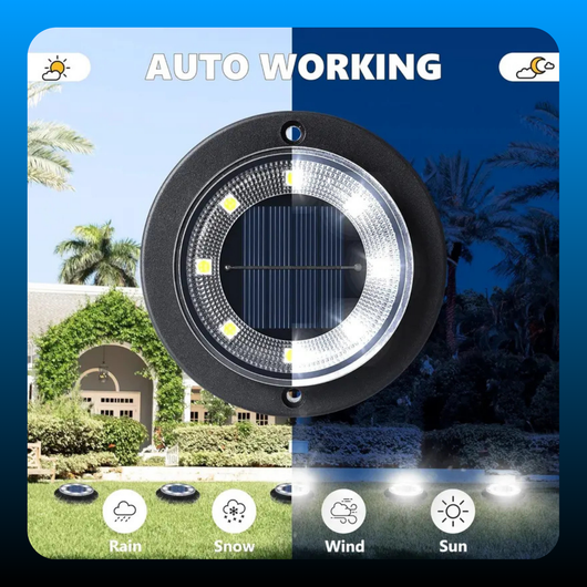 Solar Powered Outdoor Disk Lights (12 Pack)