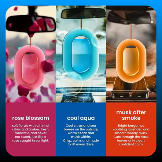 Hanging Car Freshener (3 Pack)