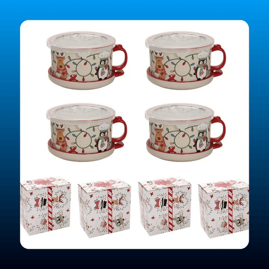 25oz Mug Meals with Lids (Set of 4)