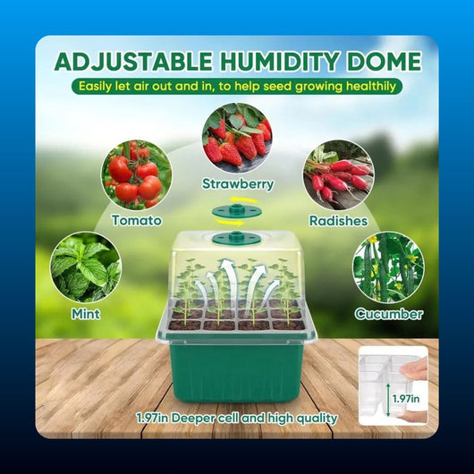 Seed Starting Tray with Grow Light (2 Pack)