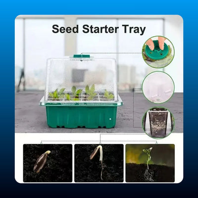 Seed Starting Tray with Grow Light (2 Pack)