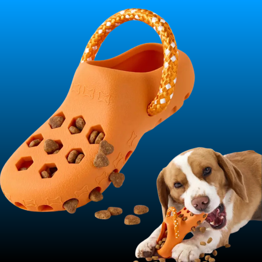 Snack Dispensing Shoe Toy for Dogs