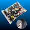 Universal Plastic Clips for Car Fender (100 PCS)
