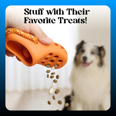 Snack Dispensing Shoe Toy for Dogs