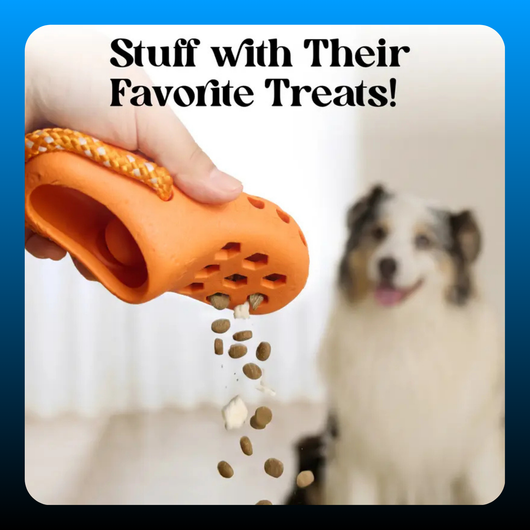Snack Dispensing Shoe Toy for Dogs