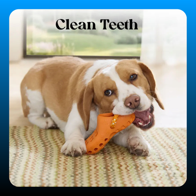 Snack Dispensing Shoe Toy for Dogs