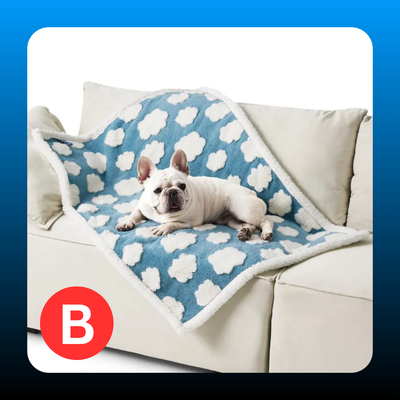 Waterproof Comfy Vibes Pet Blanket for Dogs & Cats