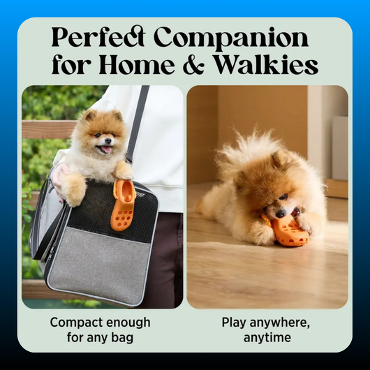 Snack Dispensing Shoe Toy for Dogs