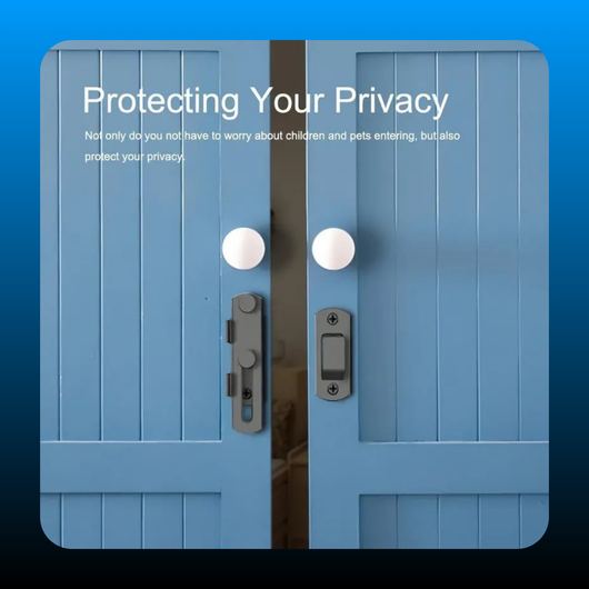 Stainless Steel Barn Door Lock