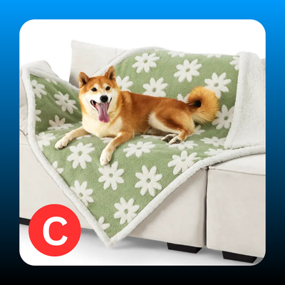 Waterproof Comfy Vibes Pet Blanket for Dogs & Cats