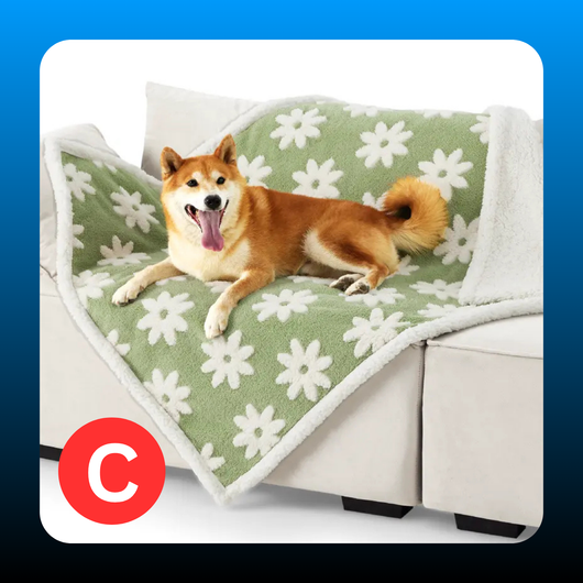 Waterproof Comfy Vibes Pet Blanket for Dogs & Cats