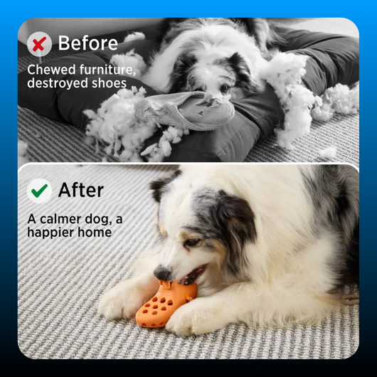 Snack Dispensing Shoe Toy for Dogs