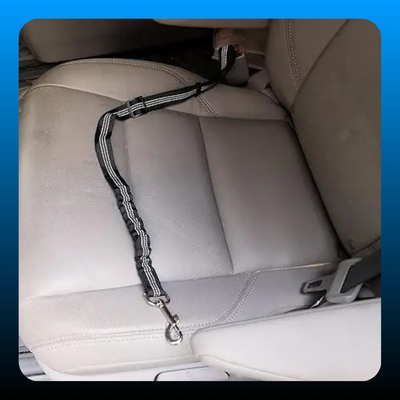 2 Packs Pet Seat Belts