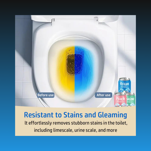 Soda Can Toilet Bowl Cleaner